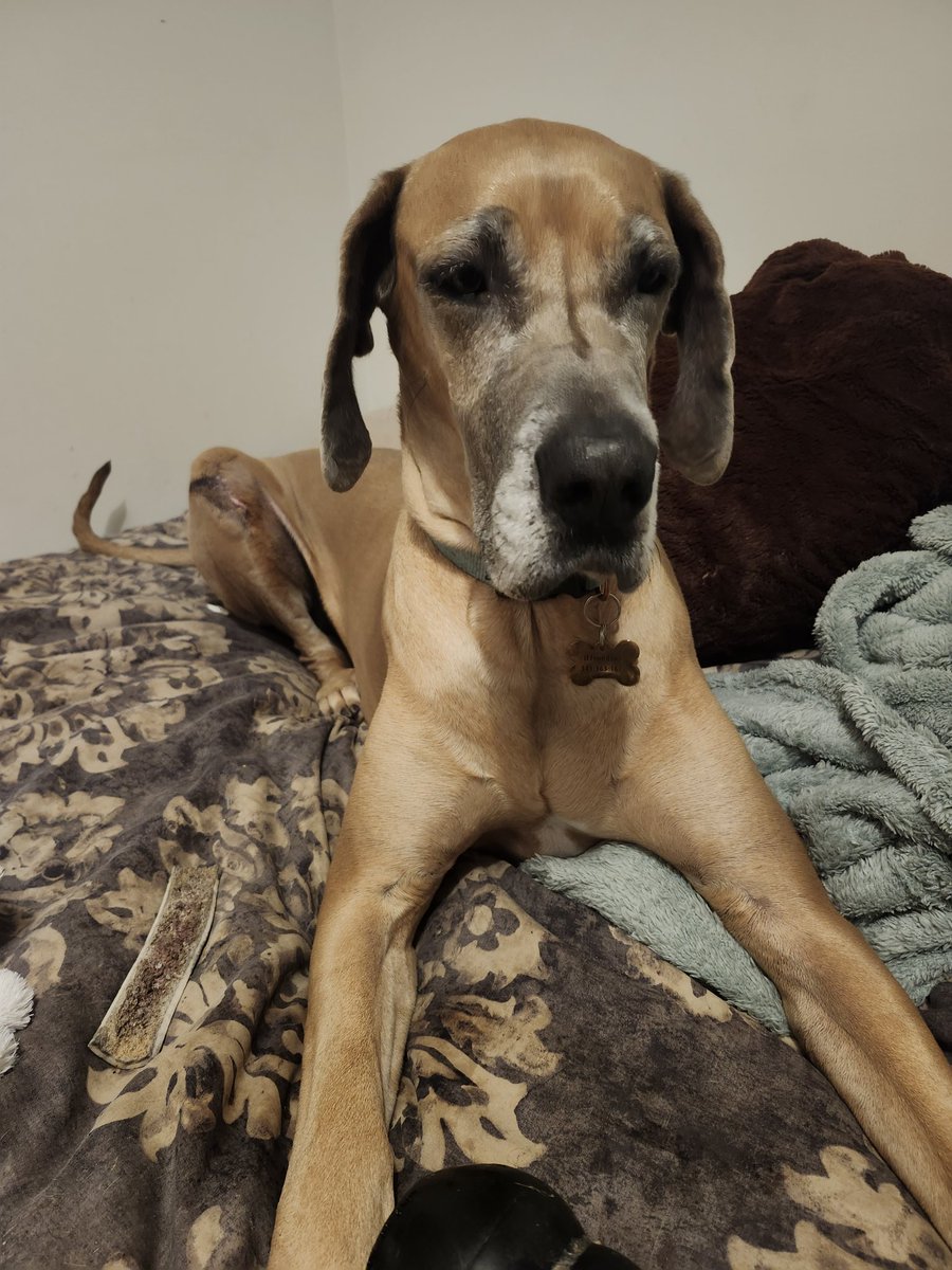 JustLiza tweet media