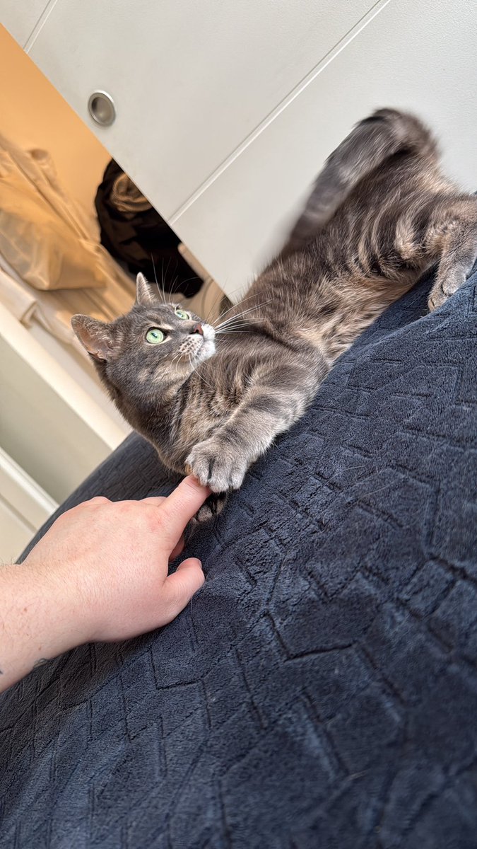 Béré 🎬 tweet media