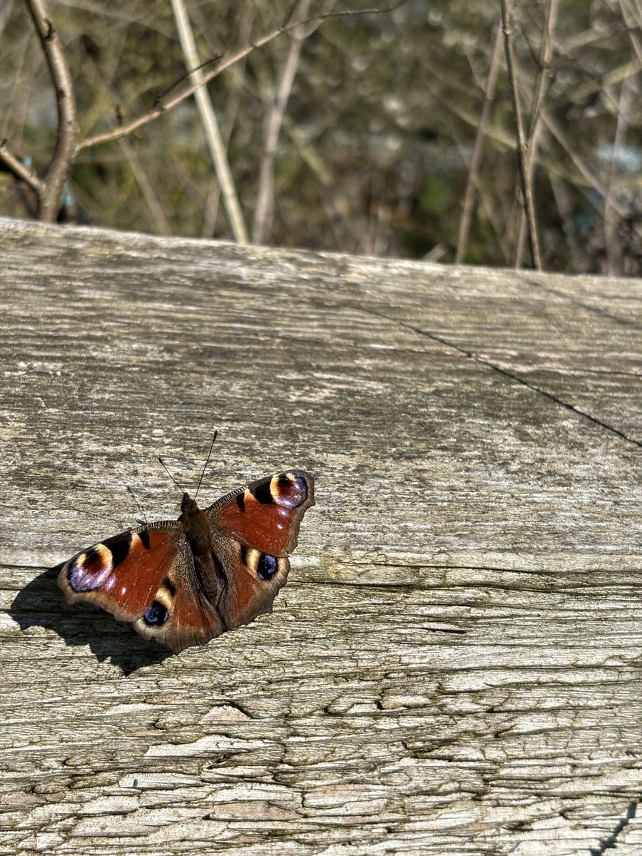 Graham Denny tweet media