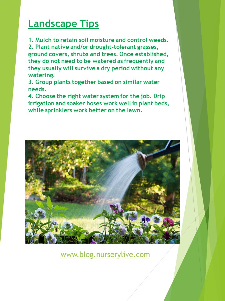 Daniel Lillis tweet media