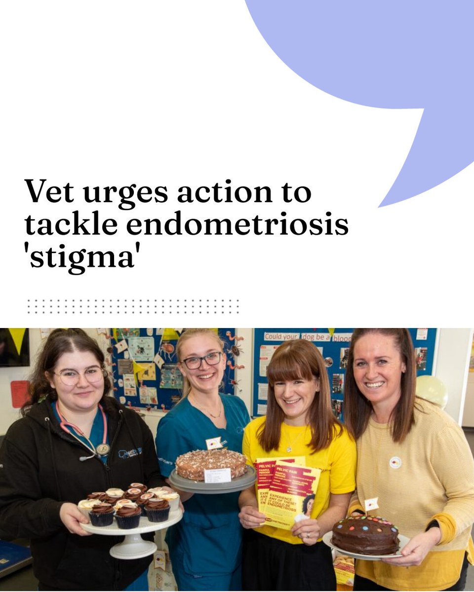 VN Times tweet media