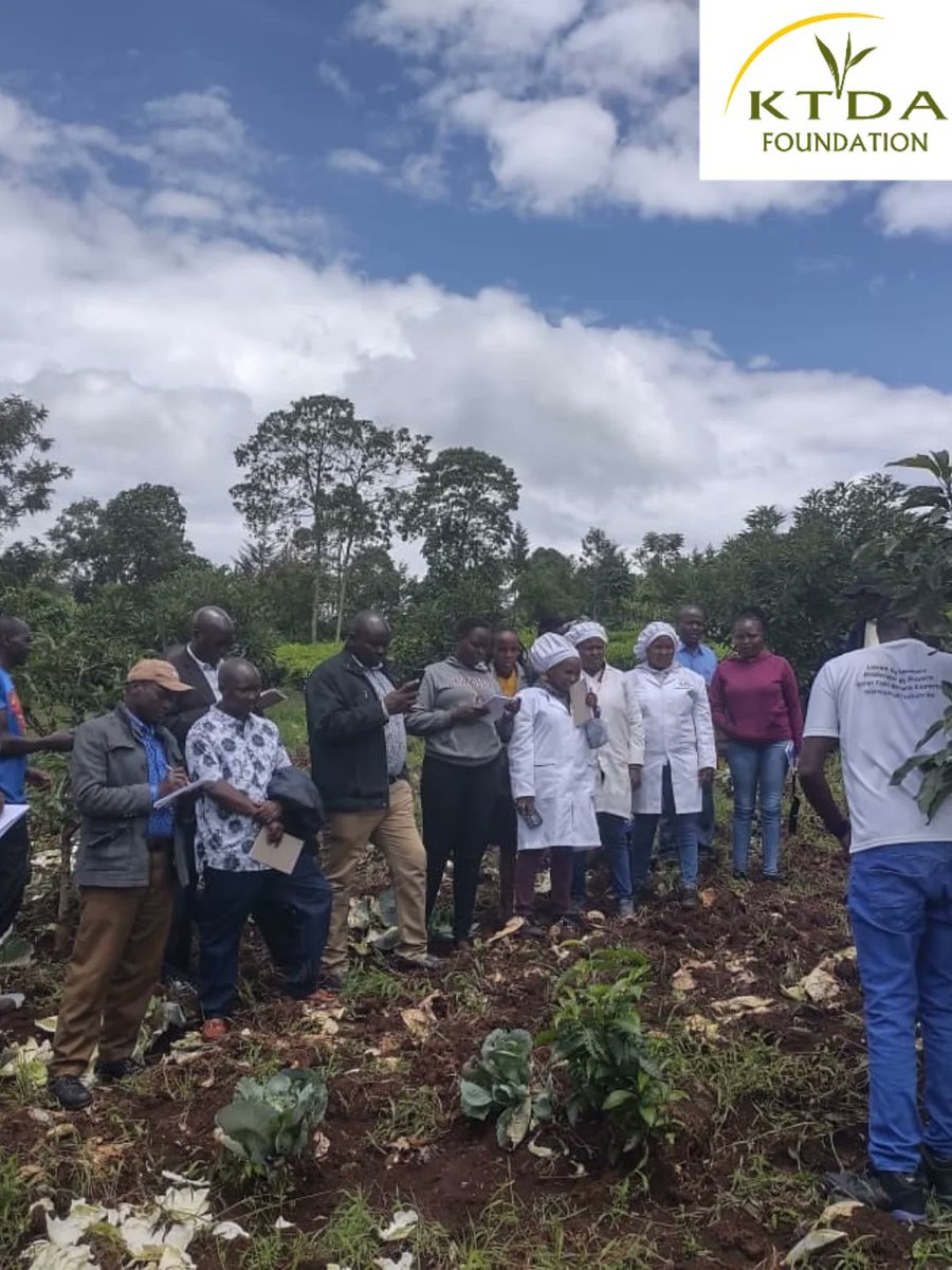 KTDA Foundation tweet media