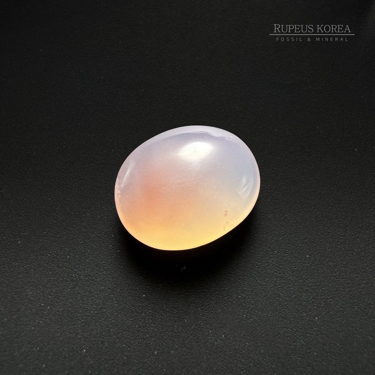 루페우스 Rupeus korea tweet media