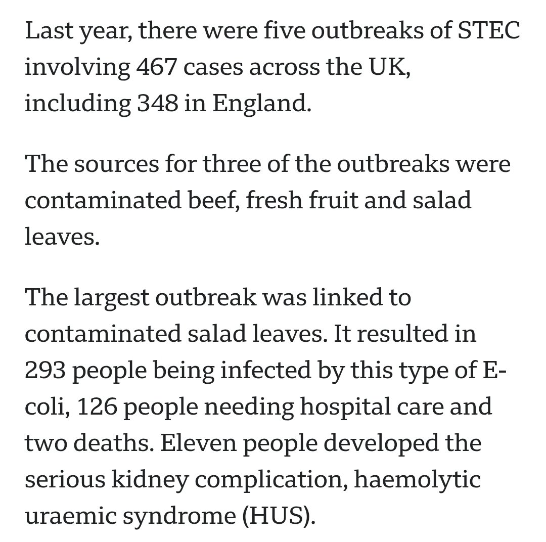 John Indie Developer tweet media