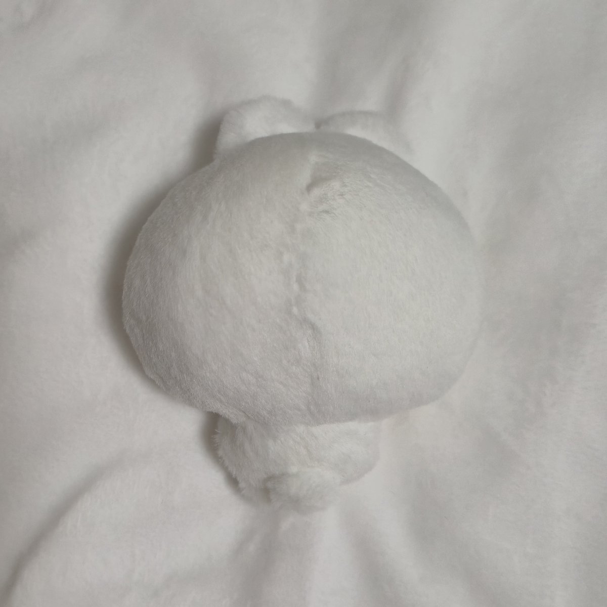 (제작중...)좀비고등학교 솜인형 공구계 tweet media