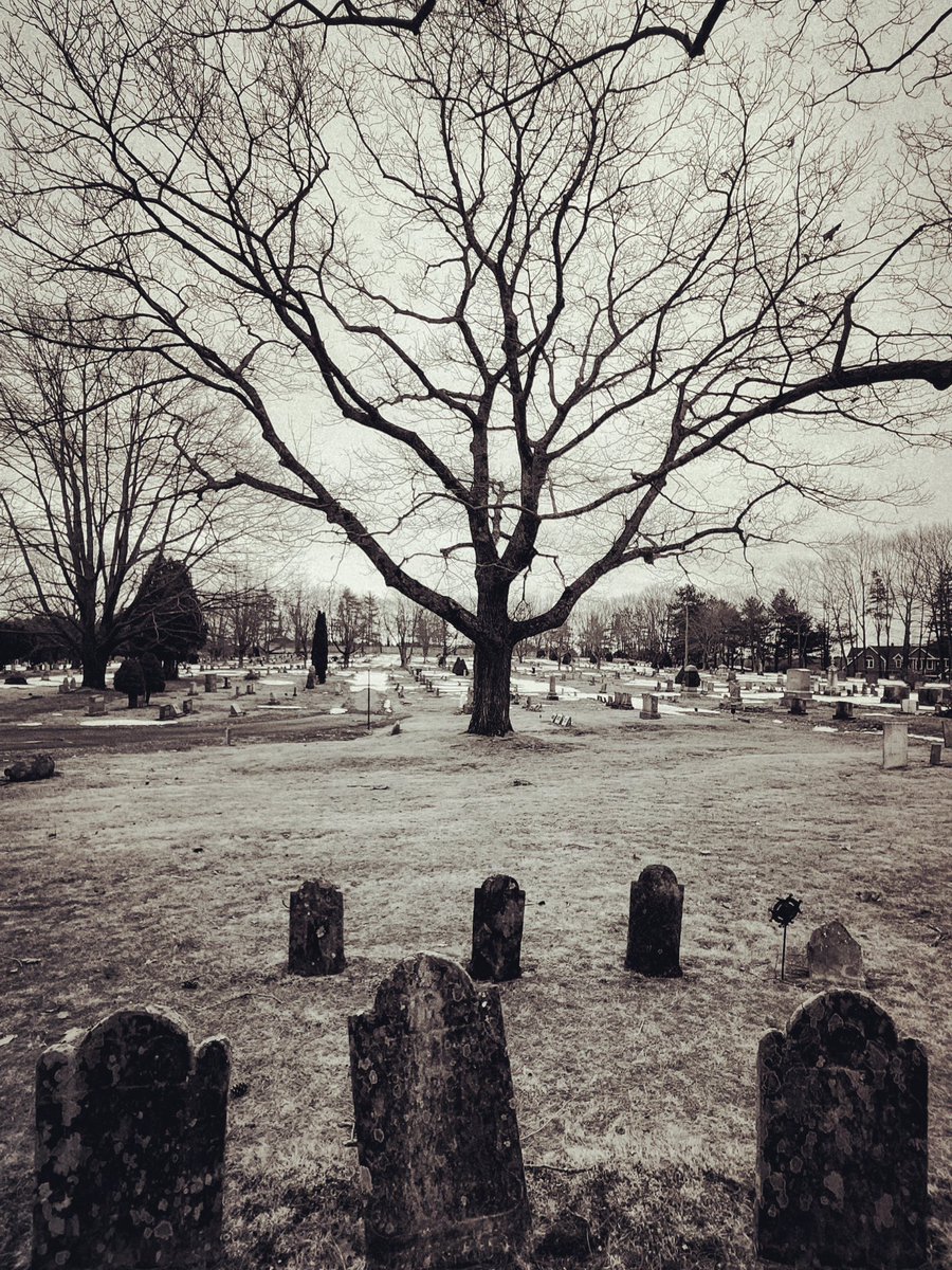 Gothic Barbie tweet media