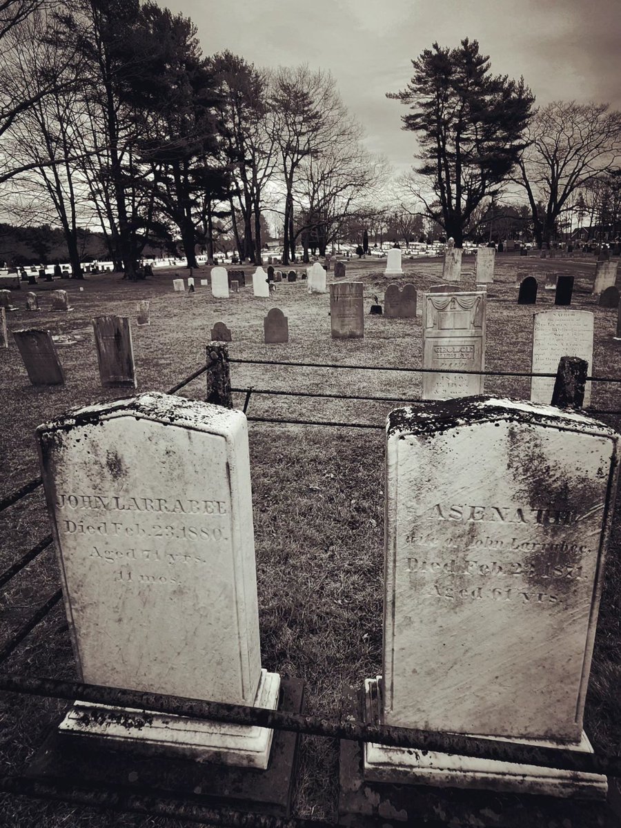 Gothic Barbie tweet media