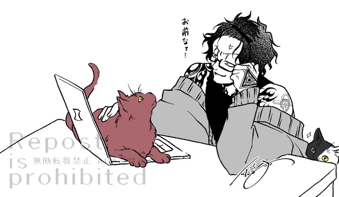 ⛰と猫 