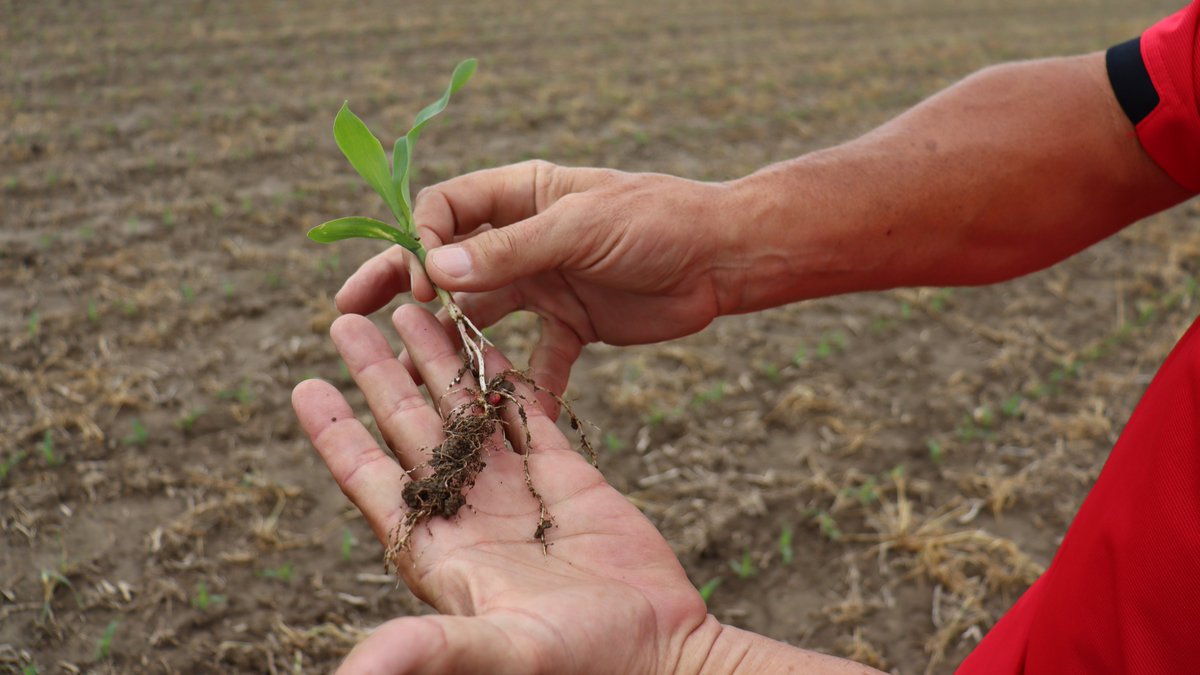 Ag Spectrum Company tweet media