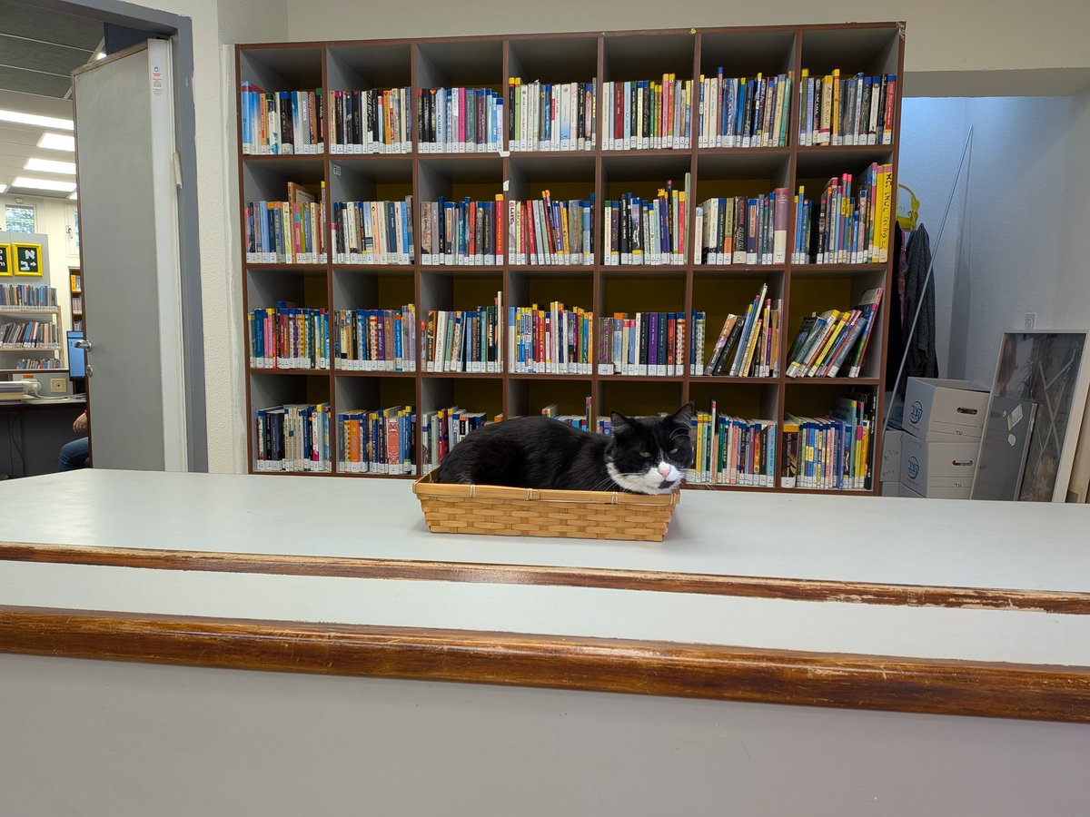 Miki Tebeka tweet media