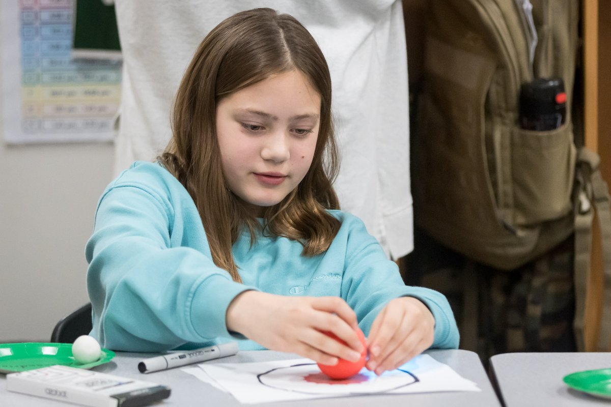 WarwickValleyCSD tweet media