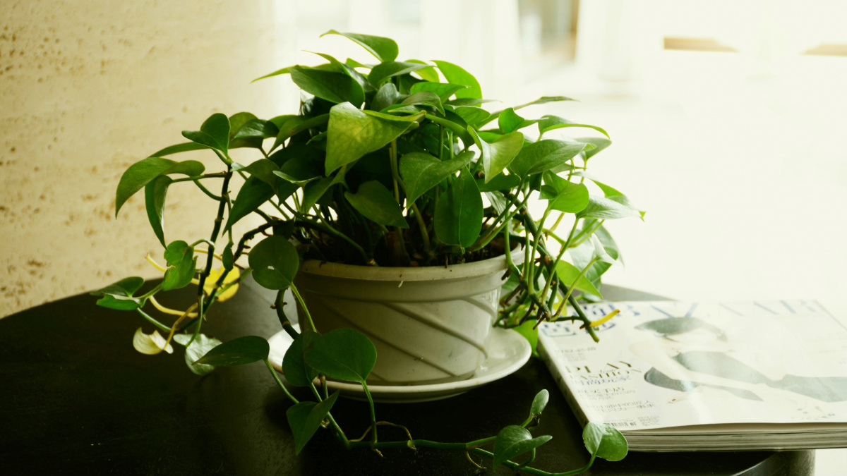 Payton Rae Team tweet media