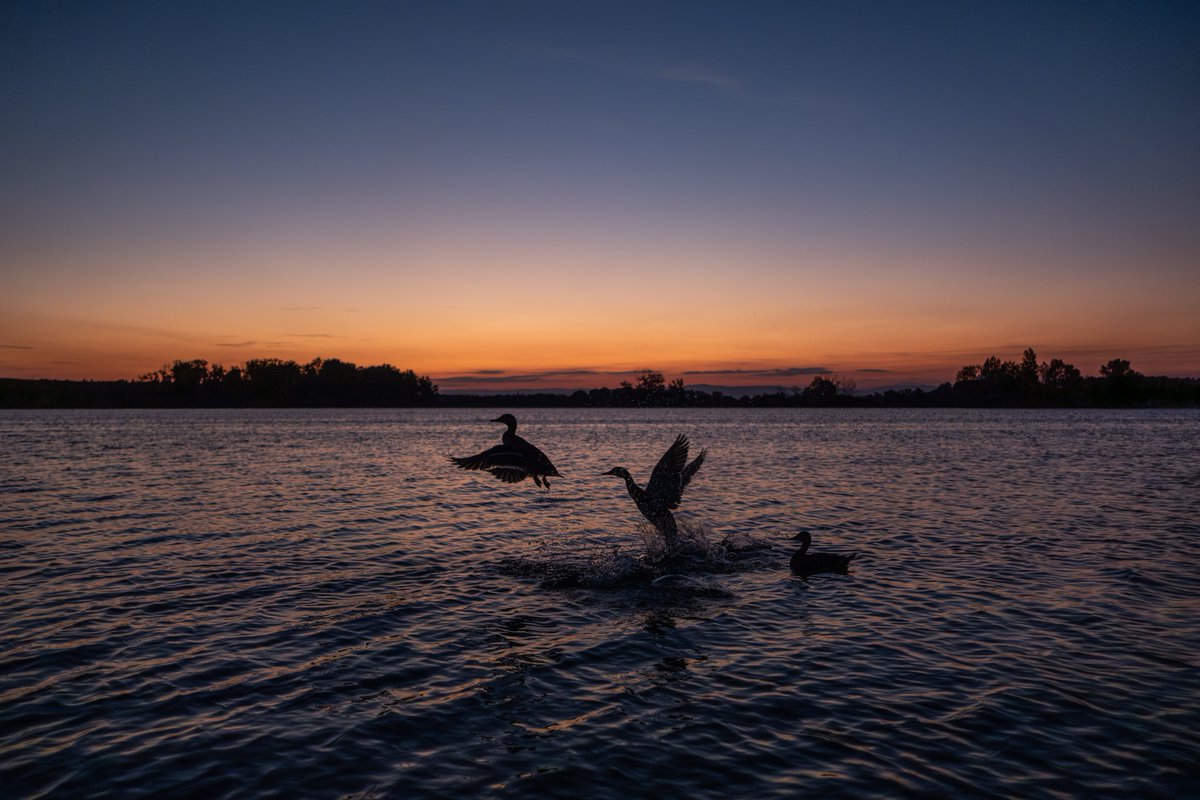 Flou sentimental tweet media