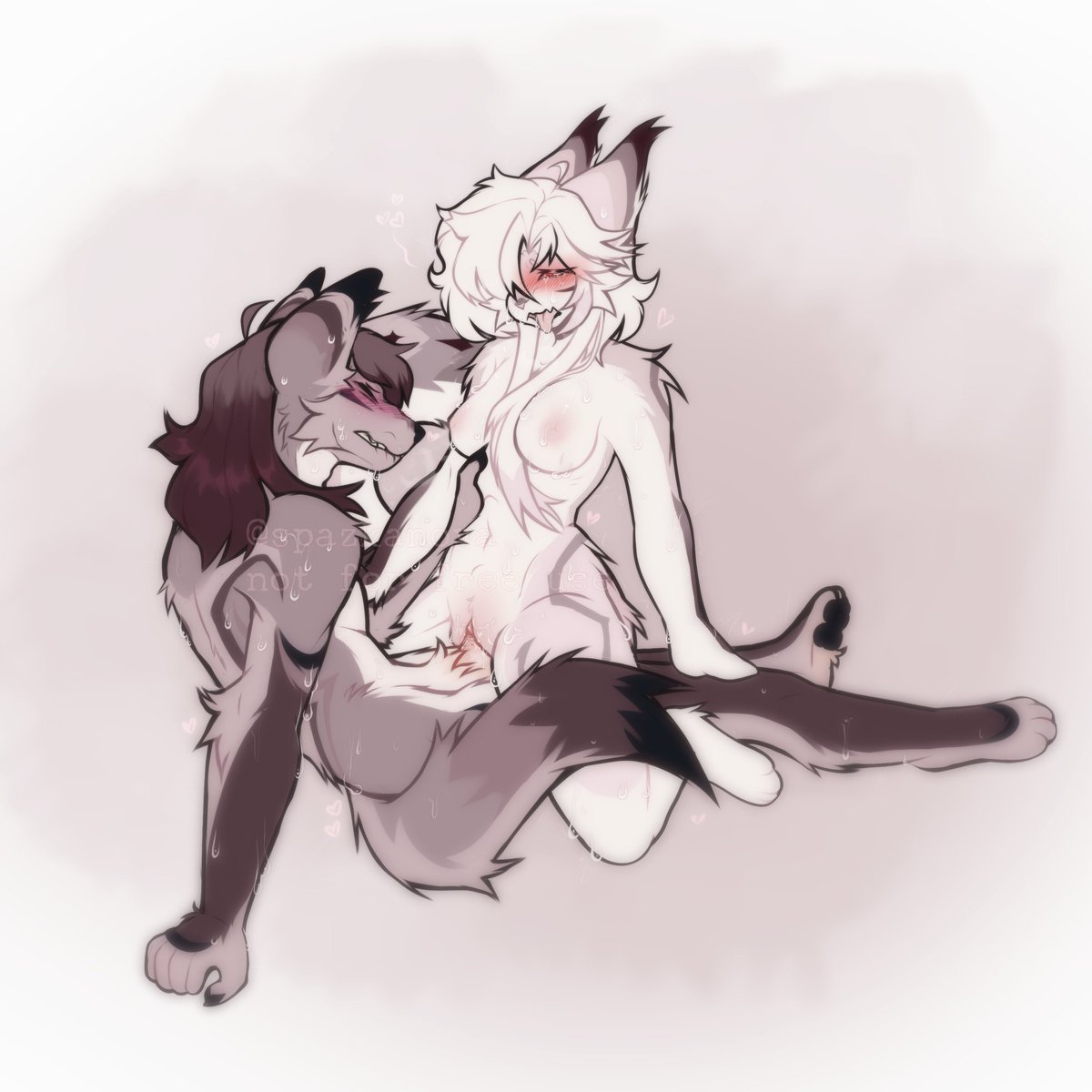 SpazKanova's tweet photo. Imagine making content other than Dusk and Void (they're just peak, what can I say)

#furrynsfw #nsfwart #furryartist #furryart

@Tryston_bigdum https://t.co/KiBMMdRNw8