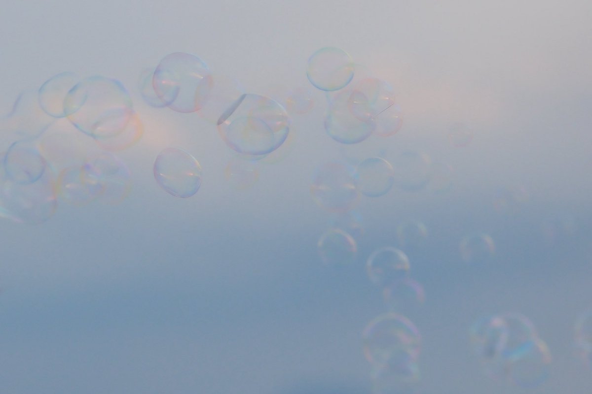 こまめ tweet media