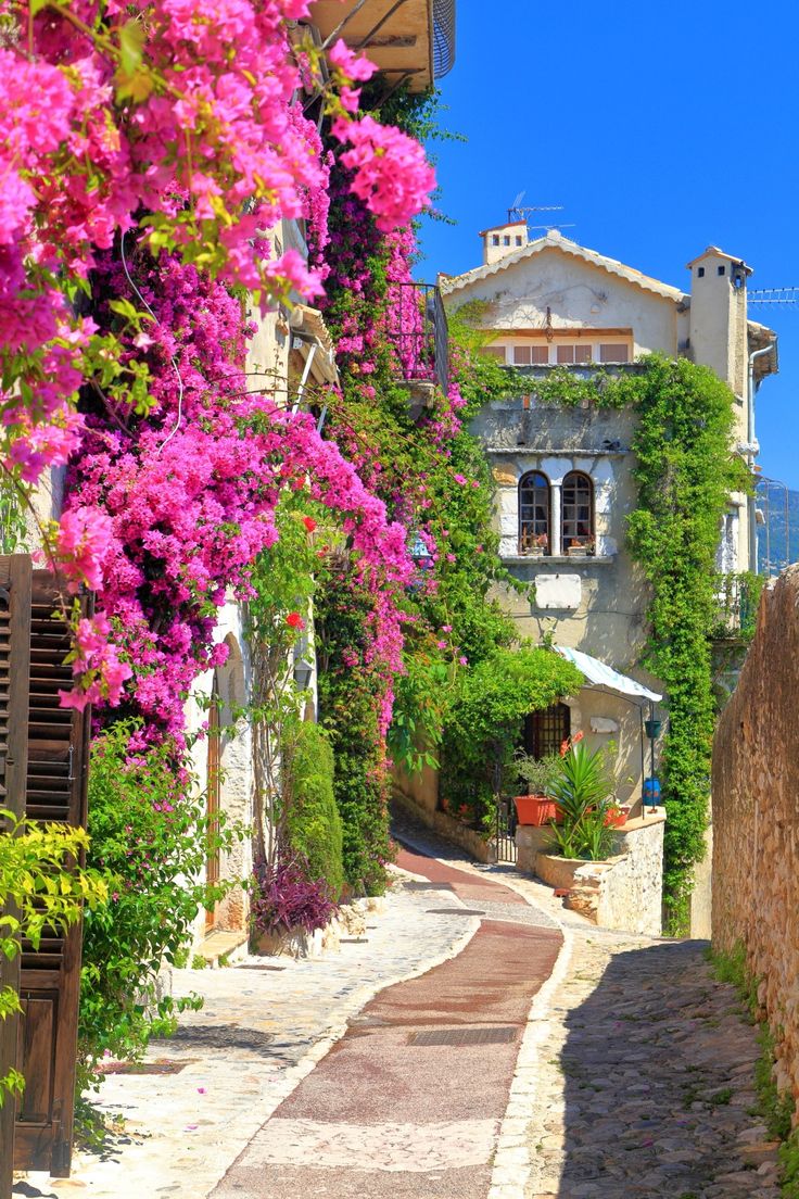 ꒰ ͜͡➸ ❤ A̫̫L̫̫E̫̫S̫̫X̫̫I̫̫A̫̫ ꒰ ͜͡➸❤ tweet media