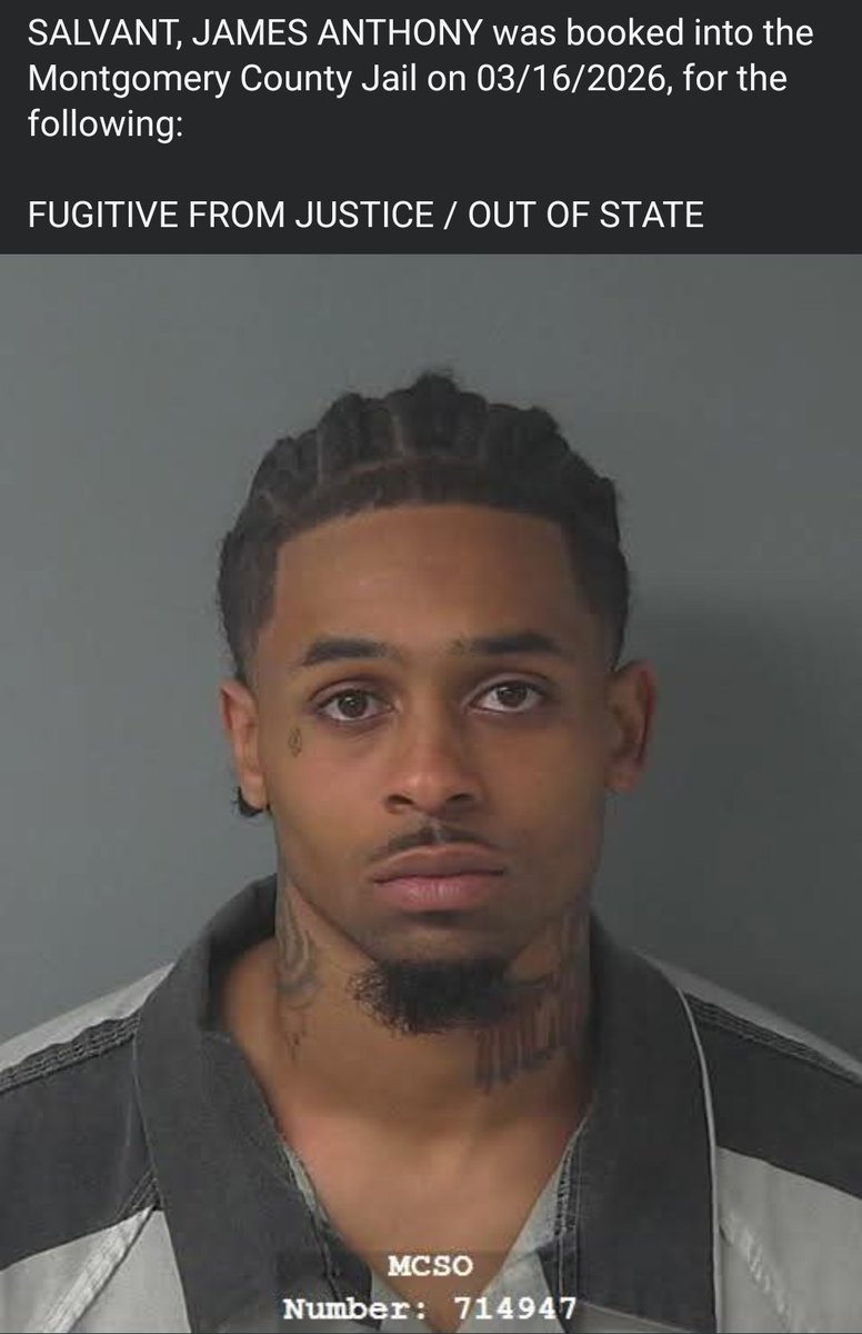 Ichigo Niggasake tweet media