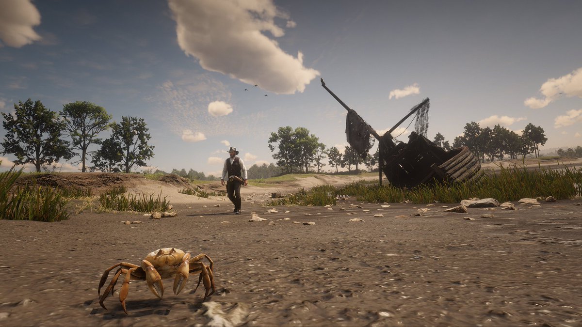 Annie 🌸 tweet media