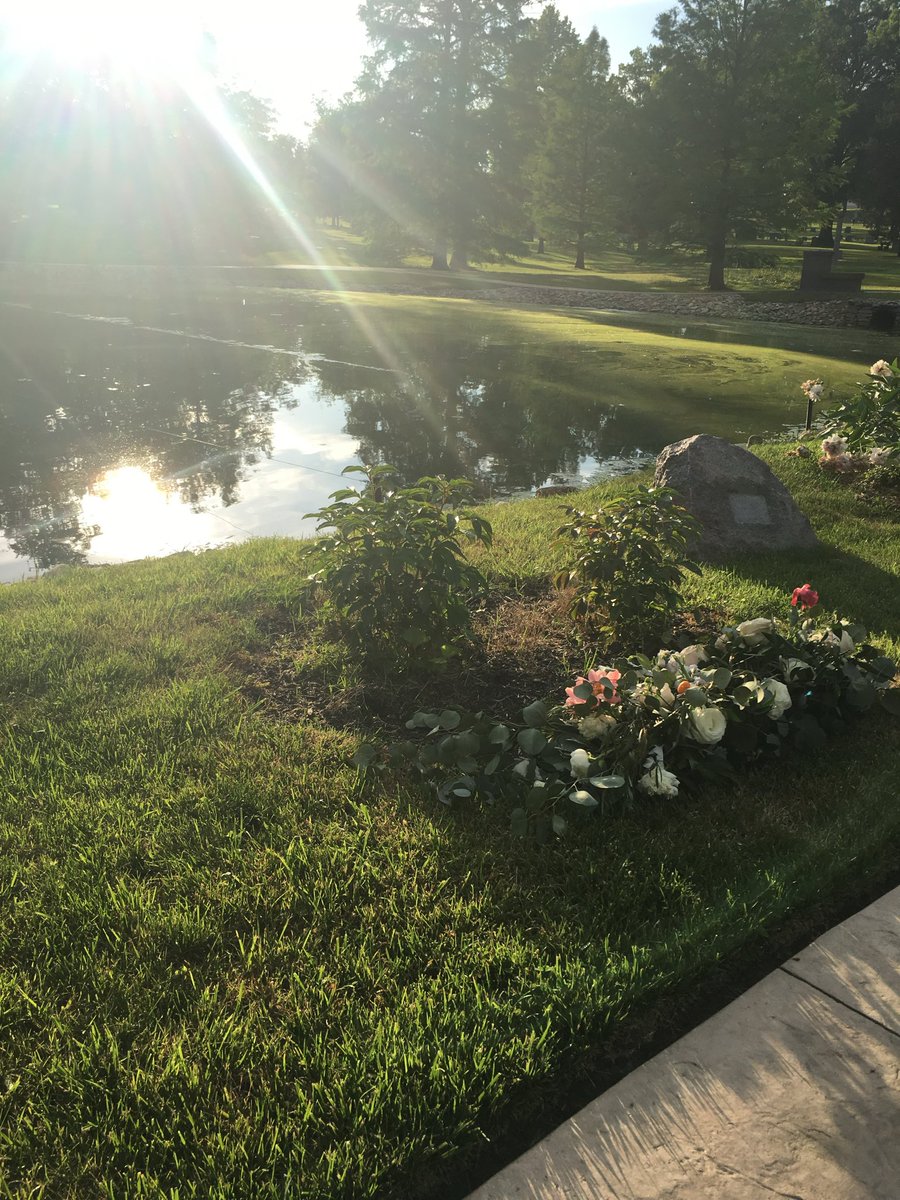 Sarah E. Makin ن tweet media