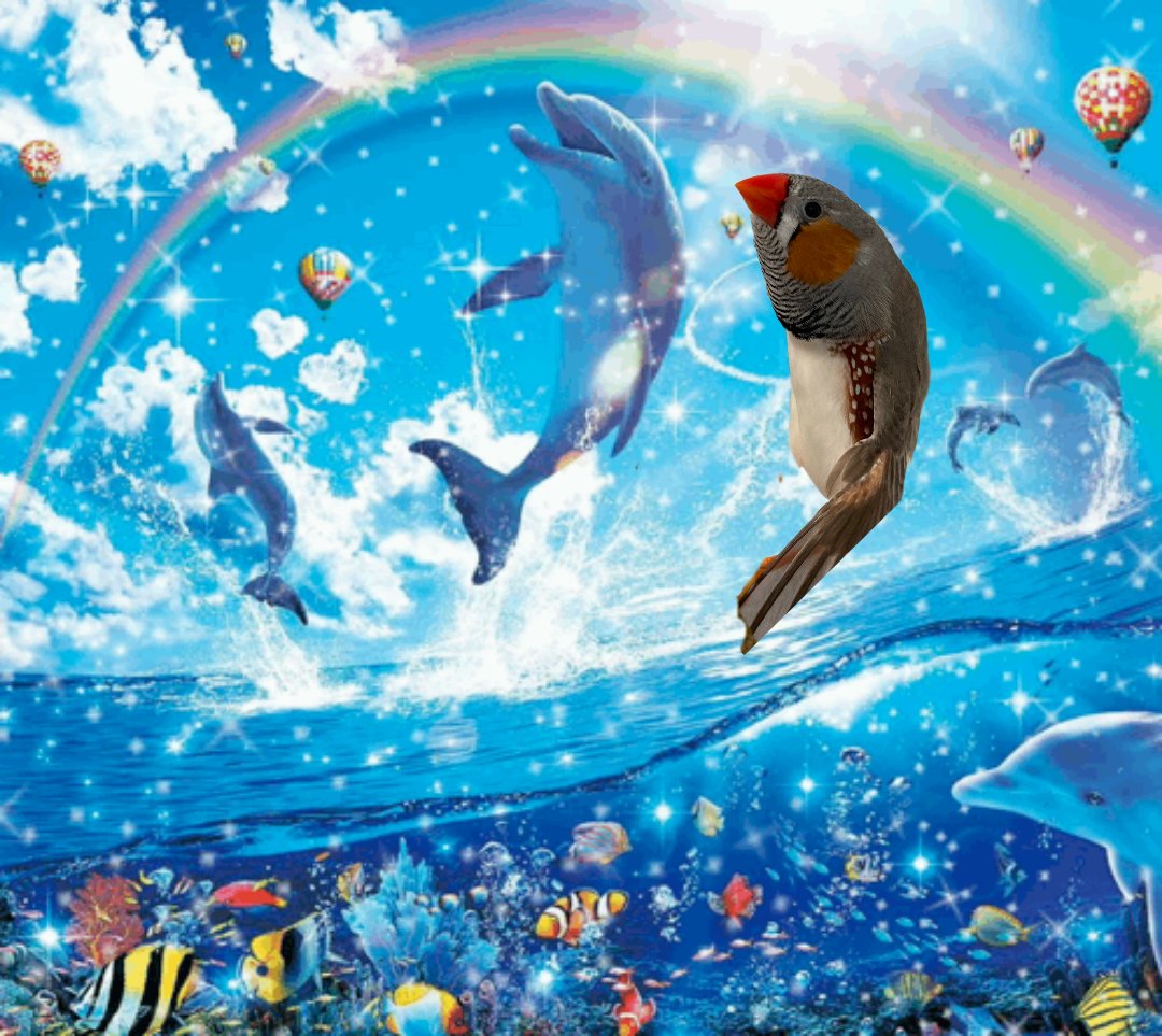 Jane 🐑 (slots 4/7) tweet media