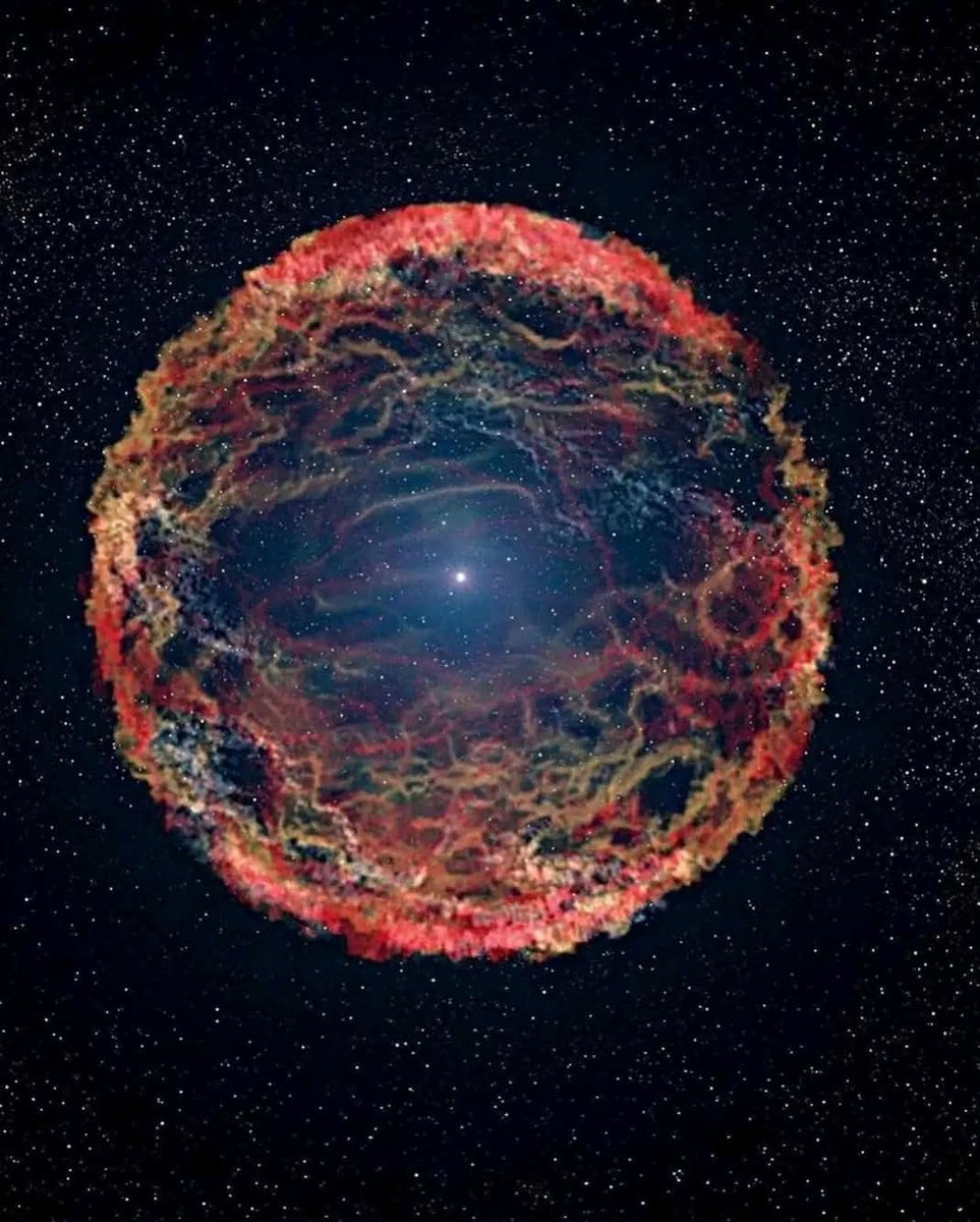 Dailyscienceinfo tweet media