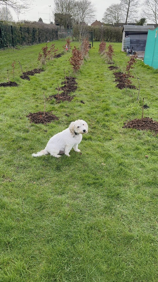 Jules from England 🇬🇧🇺🇦 tweet media