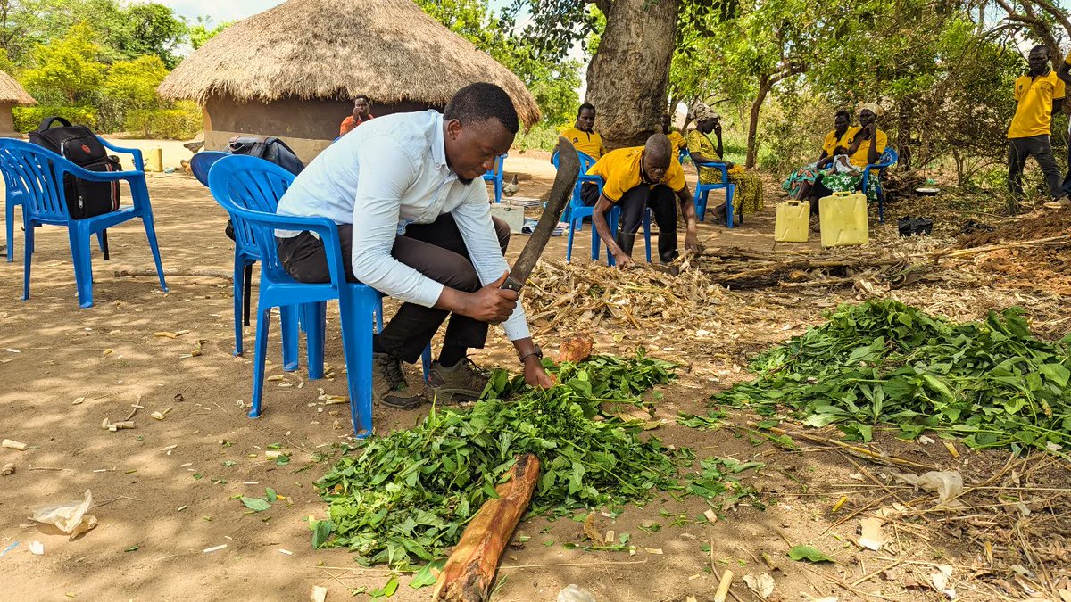 Lapyem Marvin tweet media