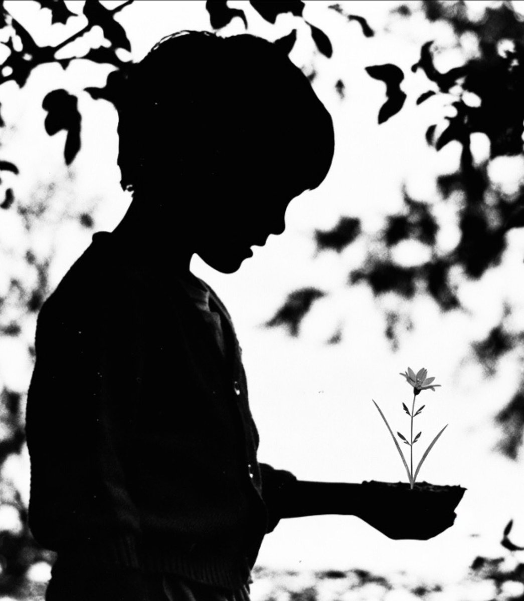 Alonein43672278's tweet image. #photography #blackandwhite #composition #childhood #memories #shadows 

Emanuele bought a very small plant to place in his grandparents' garden