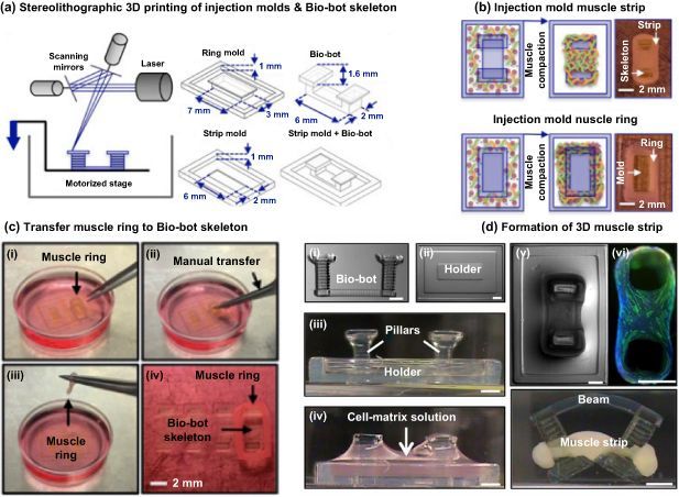 International Journal of Extreme Manufacturing tweet media