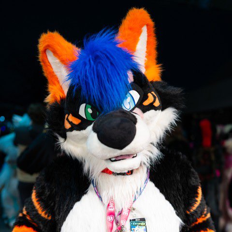 Howlie Tigerpaw the wolger at FE 🔜 FWA 🎃🌶️ tweet media