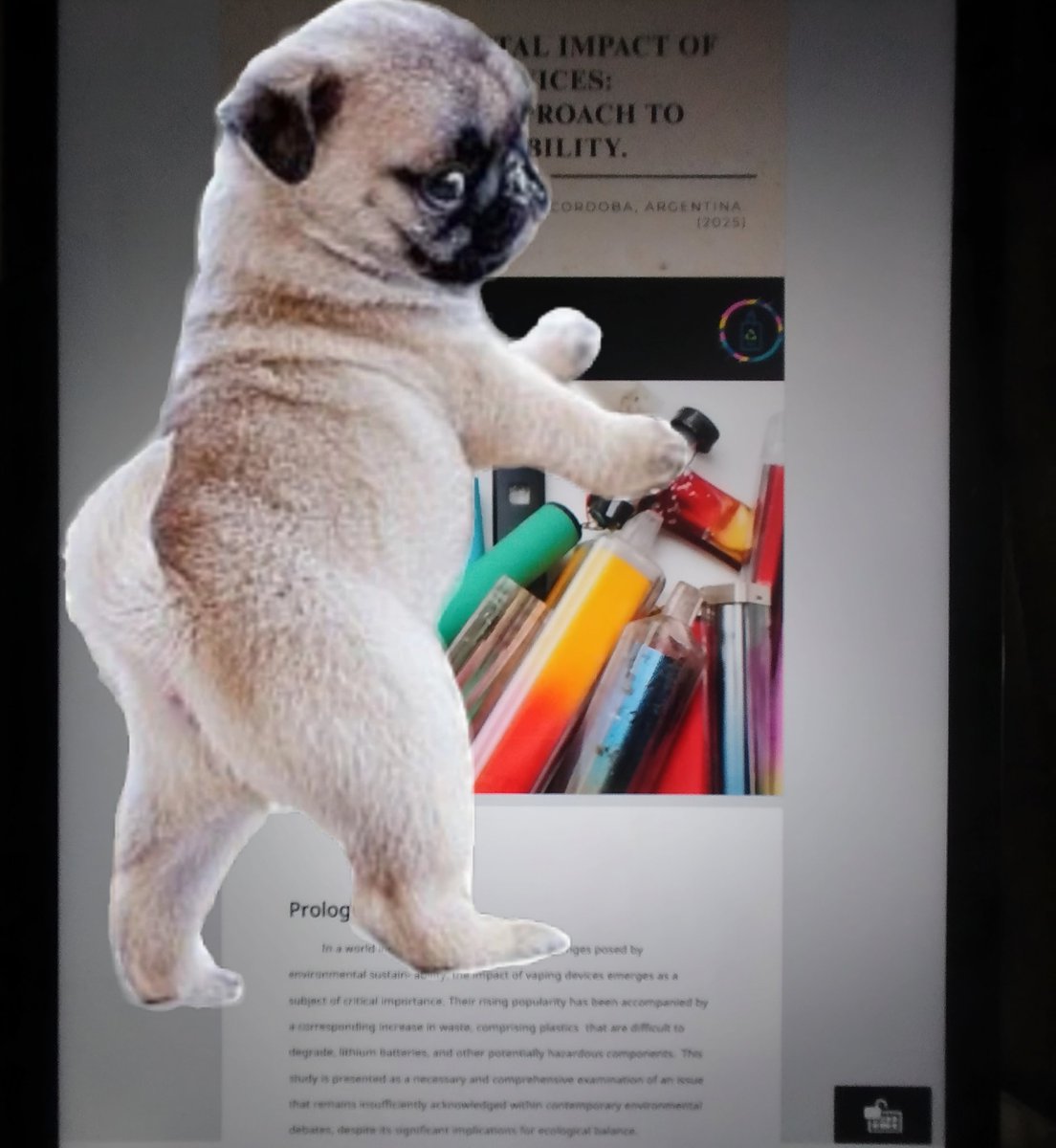 AylenVanIseldyk's tweet image. Great progress! I’m finalising the last details of the paper on global research into the environmental impact of vaping devices. It will be available in English and Portuguese very soon. 
It will be released first on SSRN and I’ll let you know when it’s online. 
#THR @RecycleVape