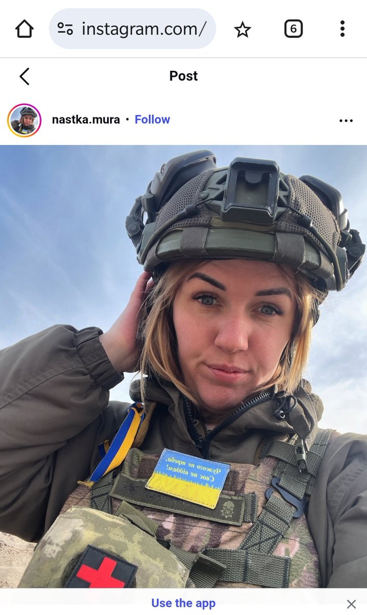 Scammer_Fox tweet media