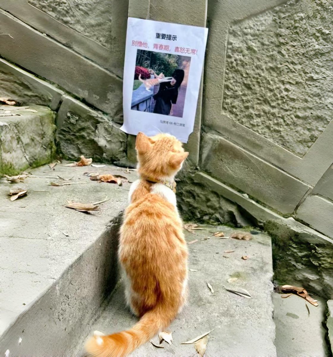 Warren Peace tweet media