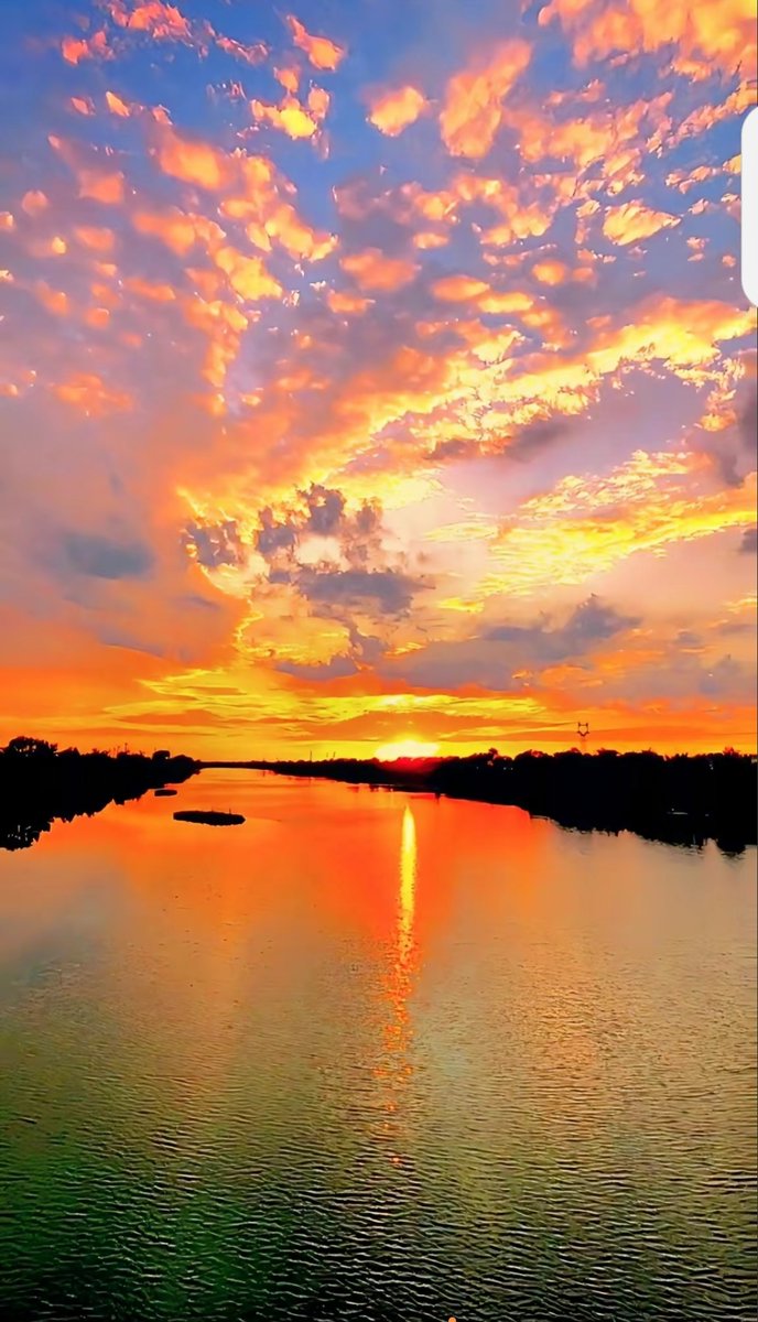 Rolf Christ tweet media