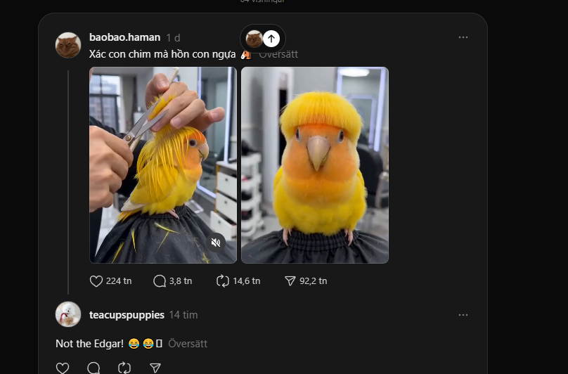 Booolish tweet media