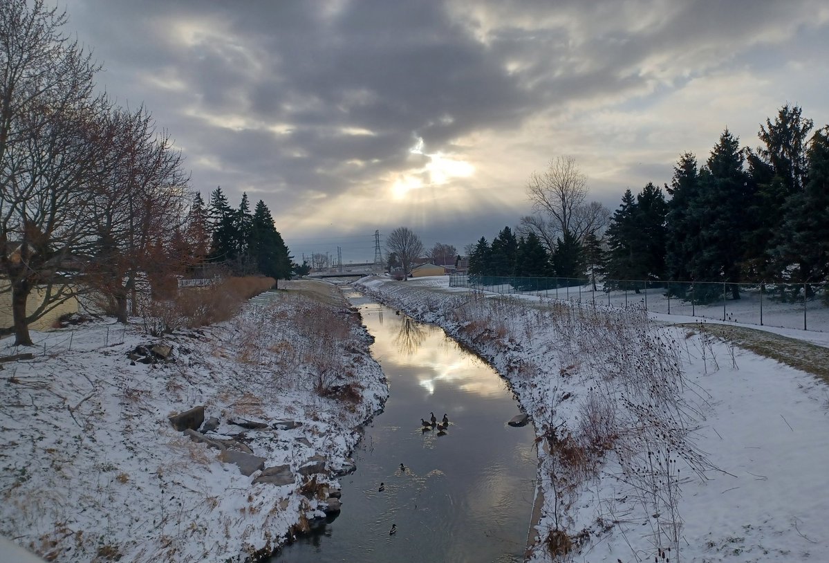 WinningNow tweet media