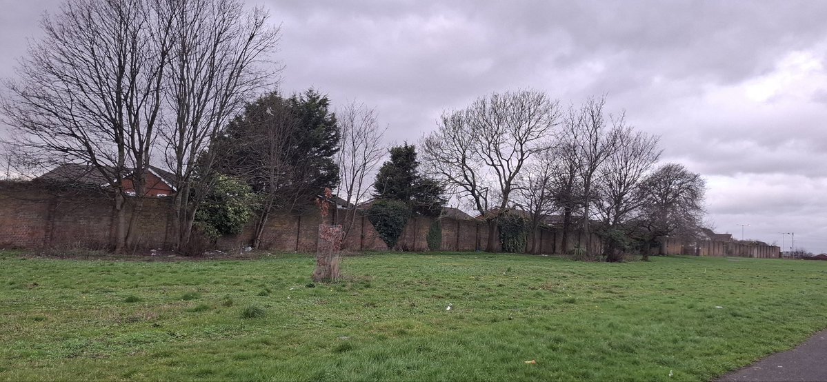 Behlul Cetinkaya of Mugla tweet media