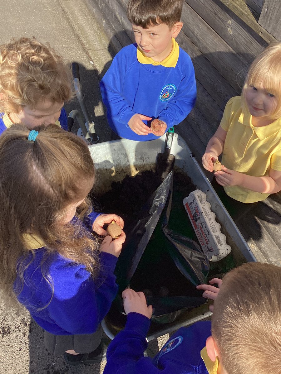 stedwardsce's tweet photo. Reception have enjoyed planting some potatoes this morning! https://t.co/MJoGJhMfYW