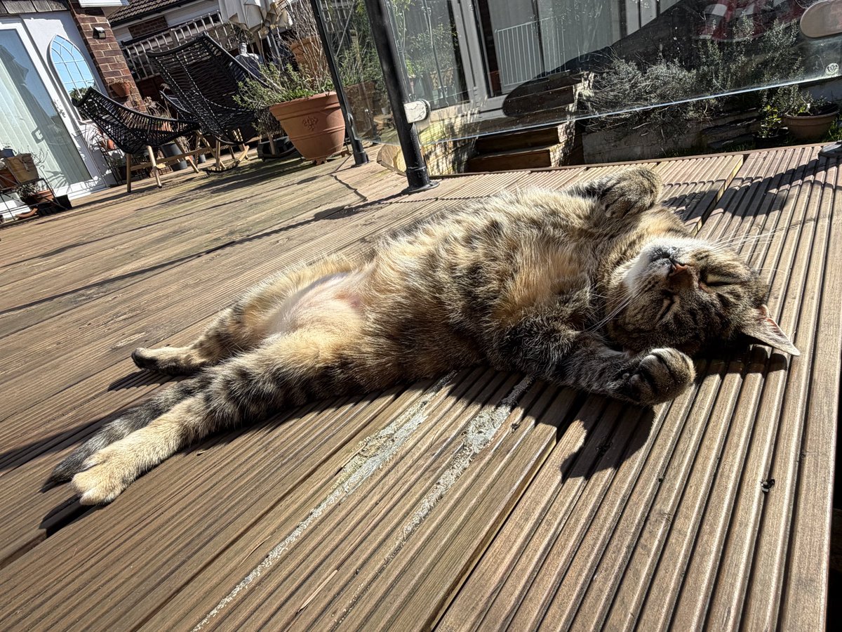 Conversation Street Podcast tweet media