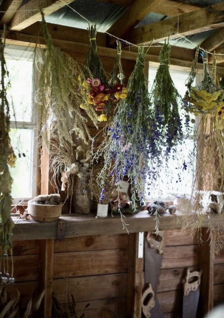 Old Hollow Tree tweet media