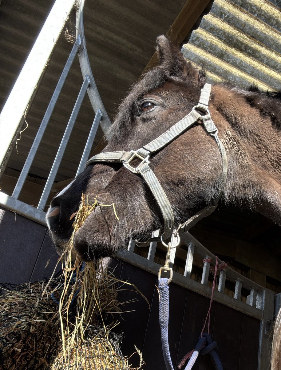 Dr Lucy Chalice Author tweet media