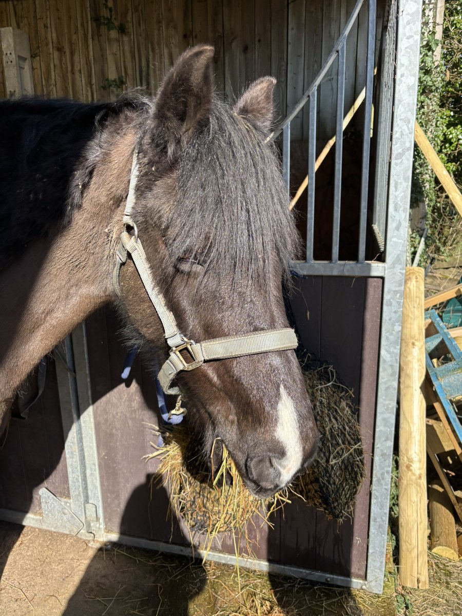 Dr Lucy Chalice Author tweet media