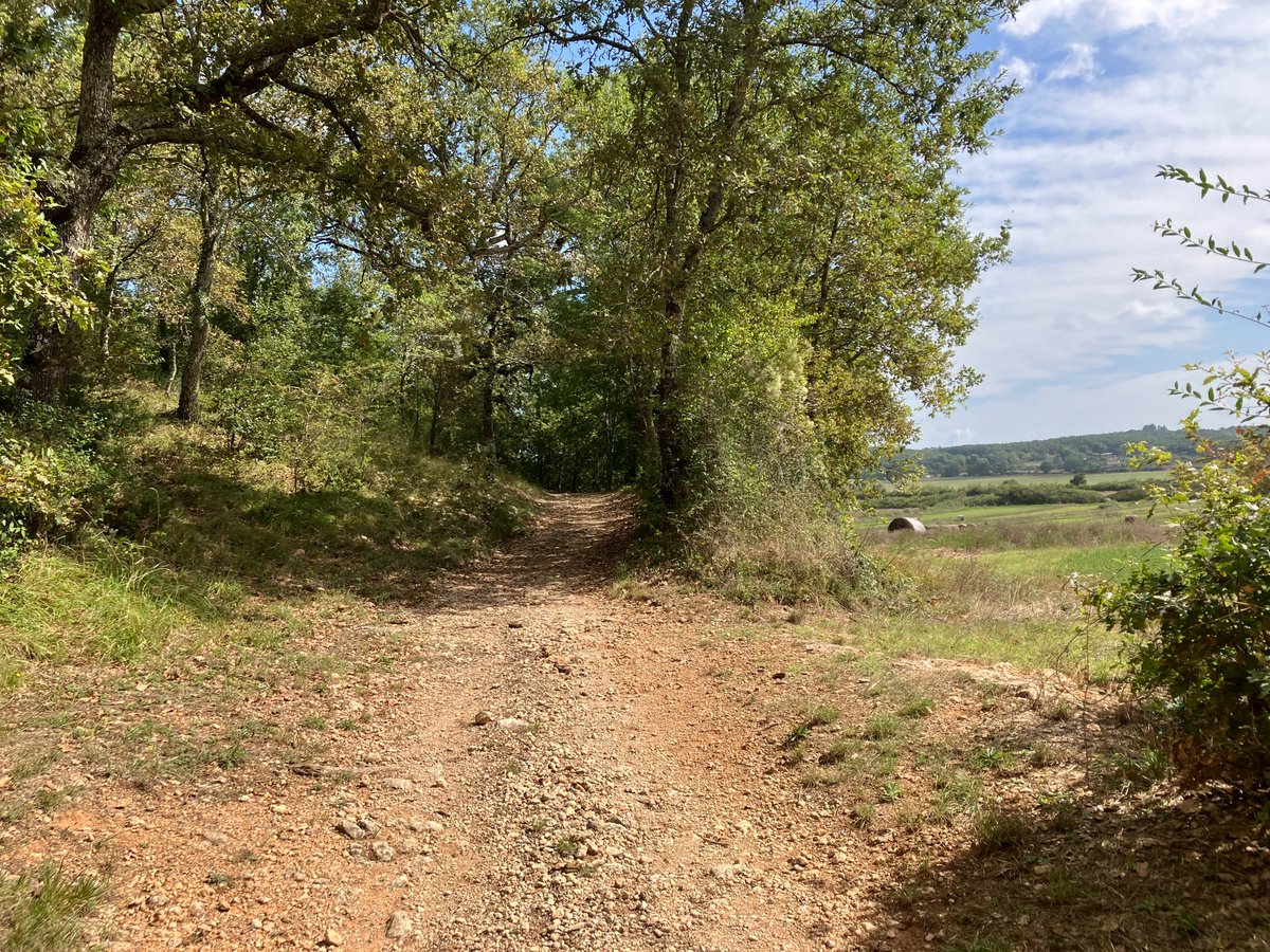 Tea Party Environmentalist tweet media