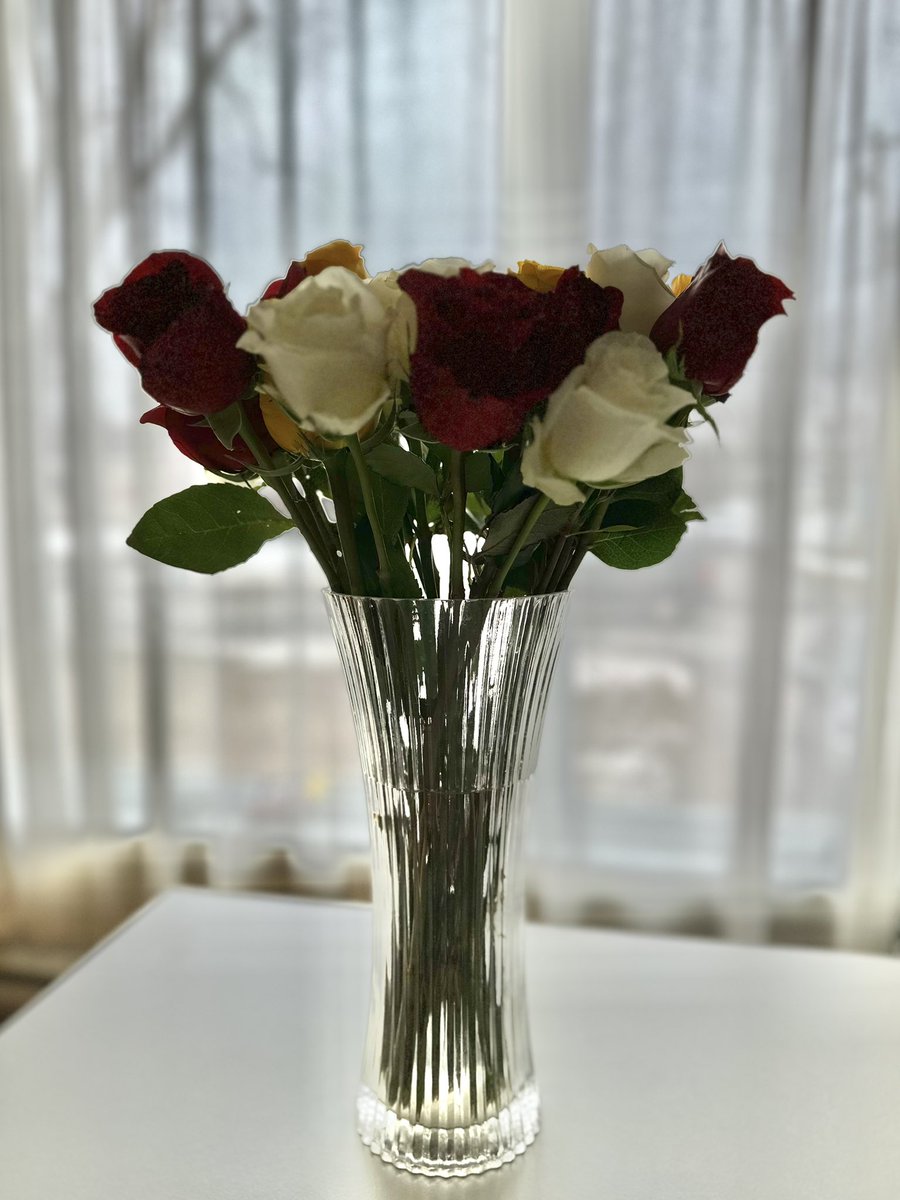 Jacob🇨🇦🇺🇸 tweet media