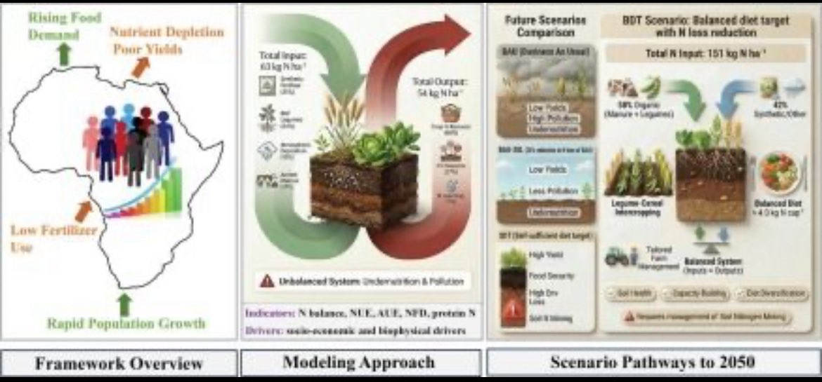fabu2m's tweet photo. Our new publication is available online about Sustainable Nitrogen Management  in African agriculture https://t.co/PAuW0s51rZ https://t.co/TZqBlohTBo