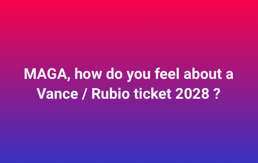 One Bad Dude tweet media