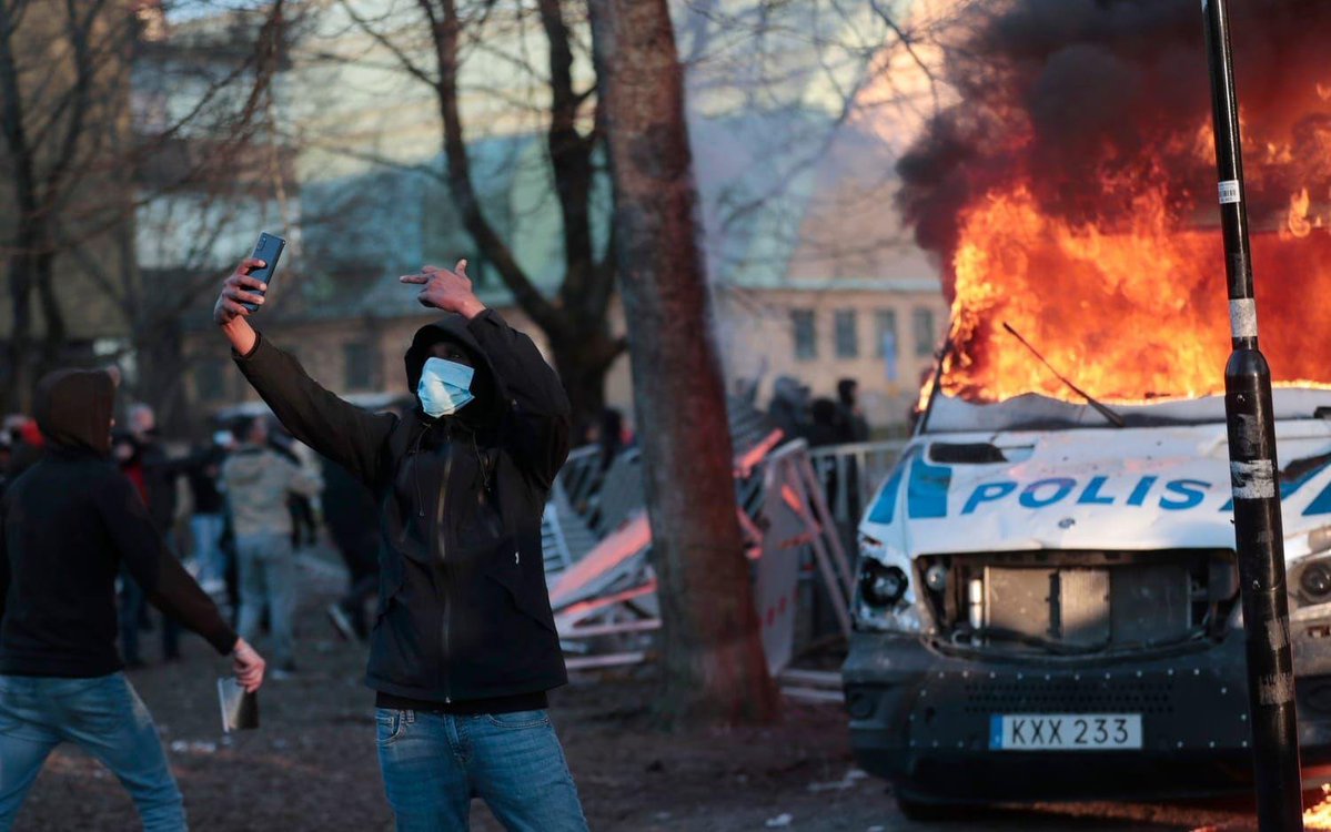 Trädgårdsplantan tweet media