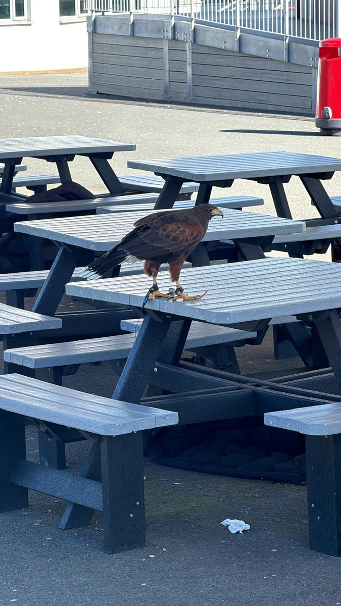 Small Heath Leadership Academy tweet media