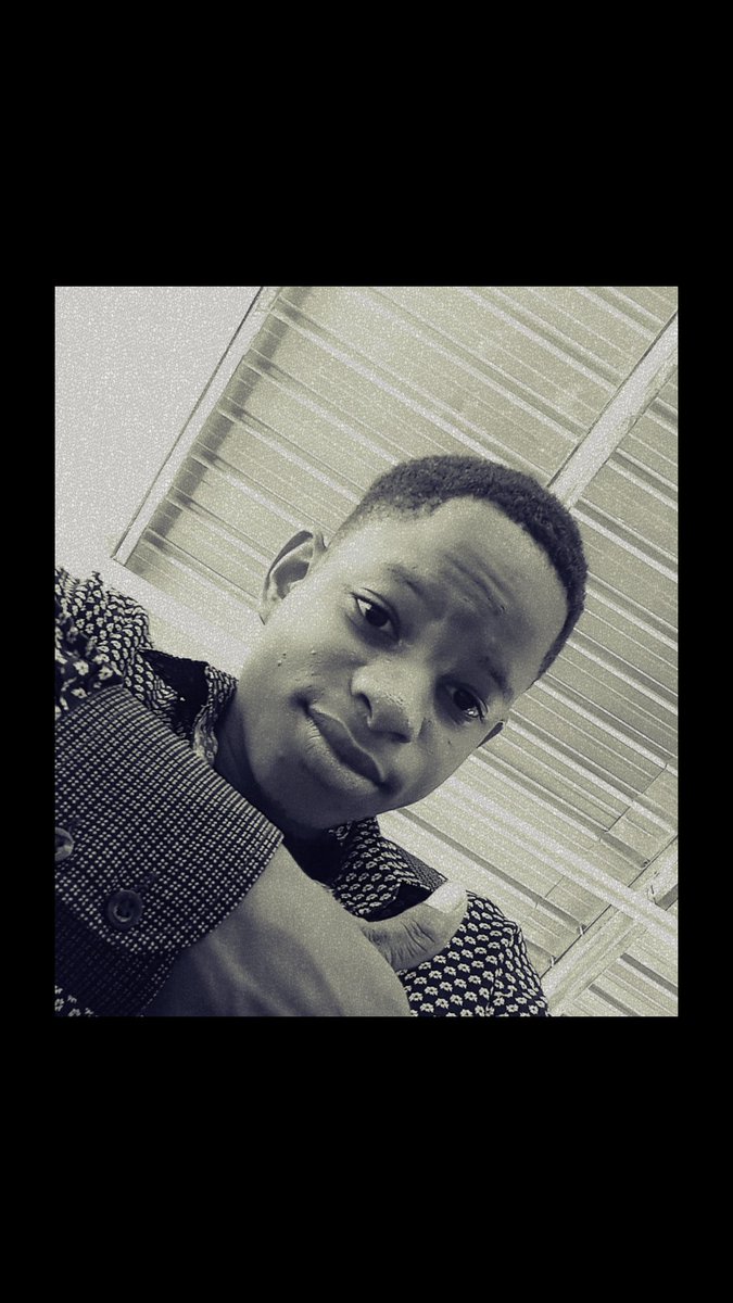 Progress || Web developer tweet media