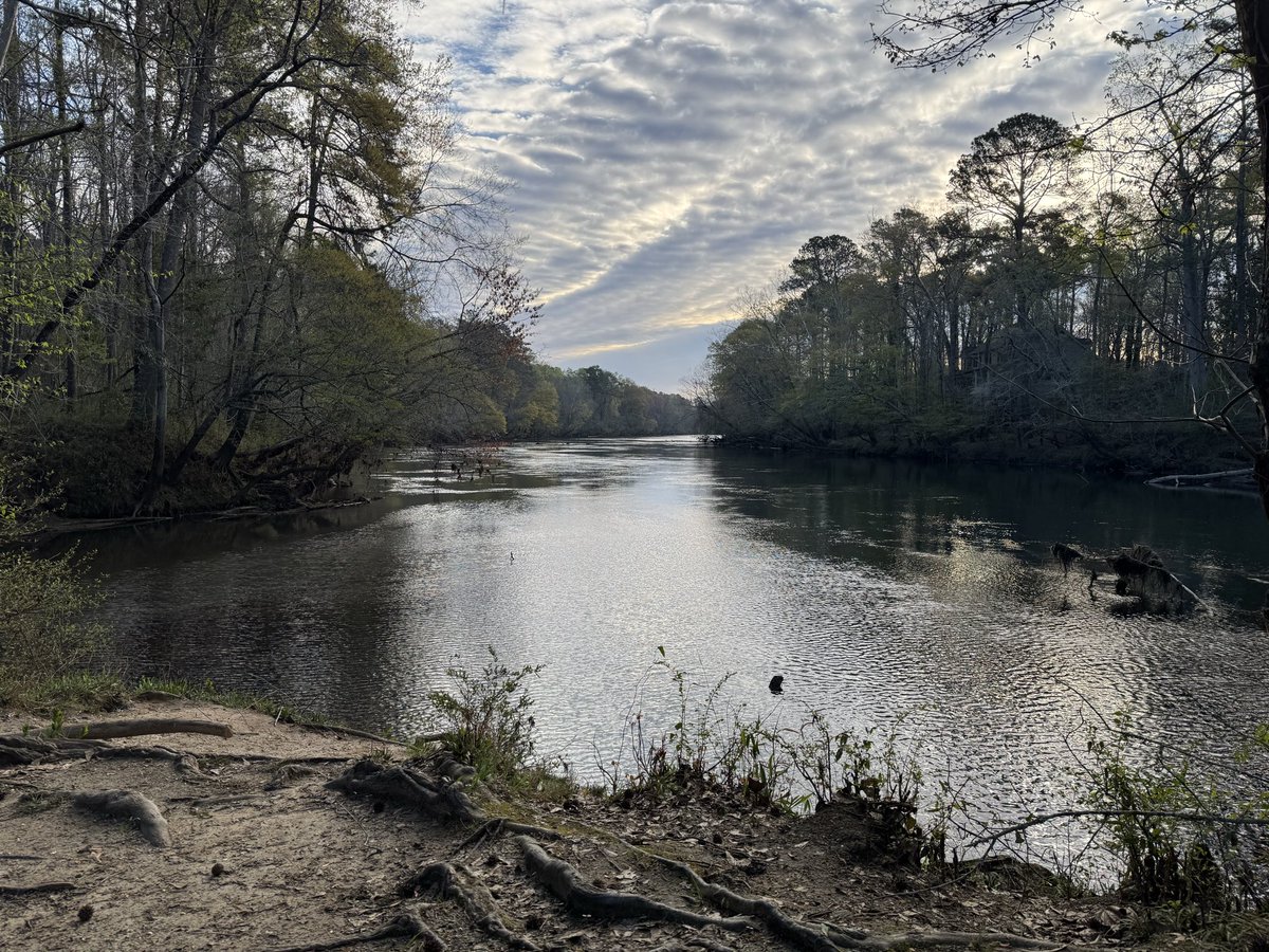 F3Swagger tweet media